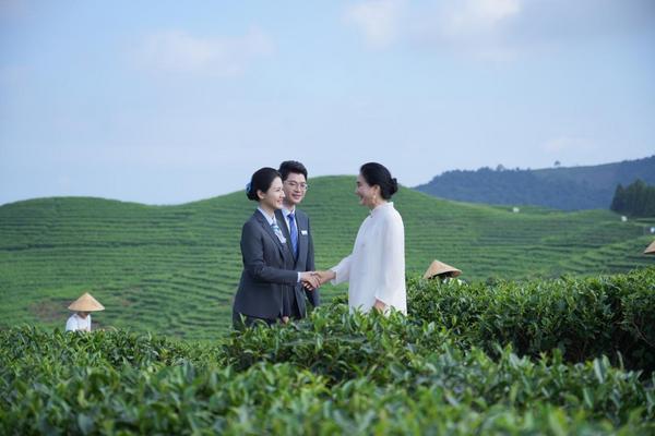 太姥诗行里白茶一盏香