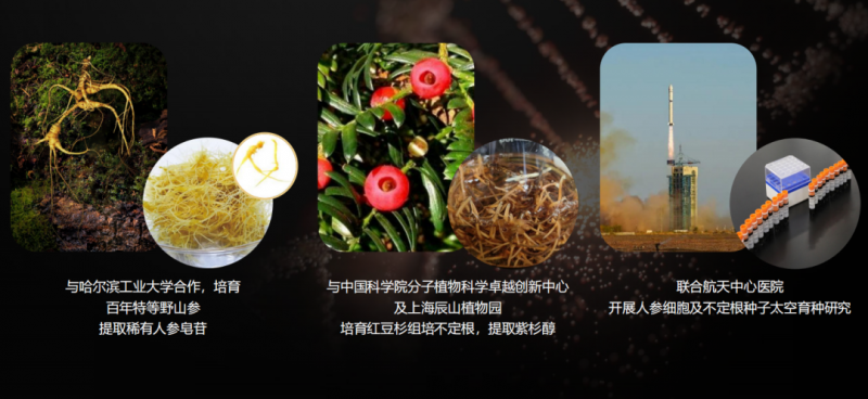 奋进