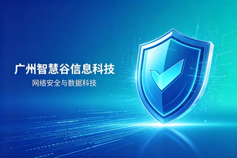 广州智慧谷信息科技|数据科技综合服务商,为企业数字化转型保驾护航
