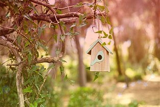 公司总生产能力为220万头母猪和1200万头生猪